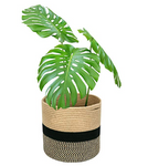 Rope Plant Basket